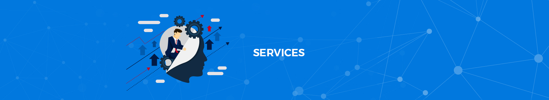 Services - TeamF1 NetworksTeamF1 Networks
